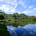 写真: 高松の池 (6)