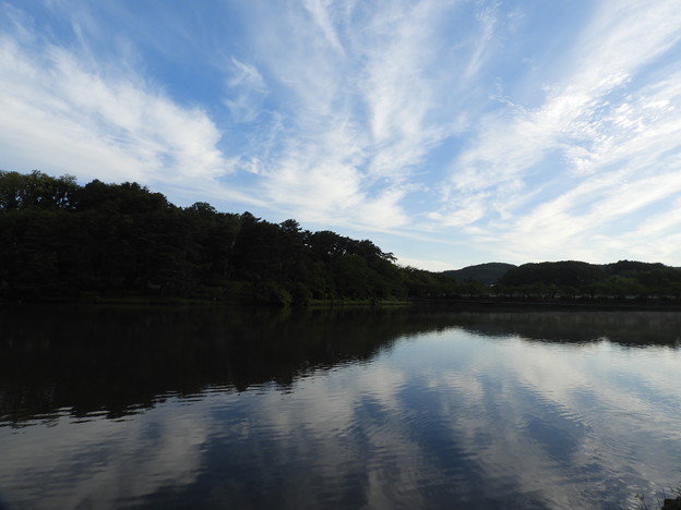 写真: 高松の池 (1)
