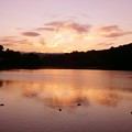 写真: 高松の池 (2)