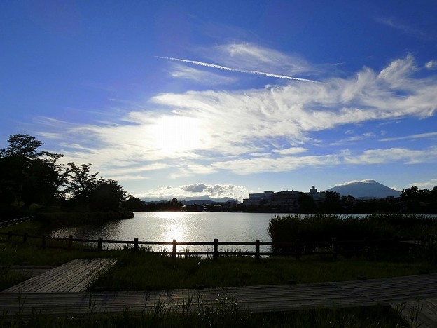 写真: 高松の池 (7)