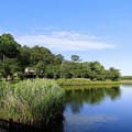 写真: 高松の池 (4)