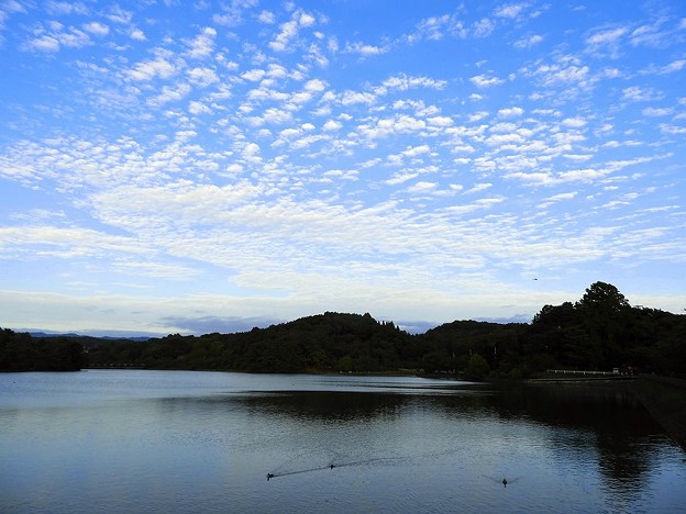 写真: 高松の池 (3)