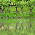 写真: 高松の池