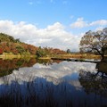 写真: 高松の池 (4)