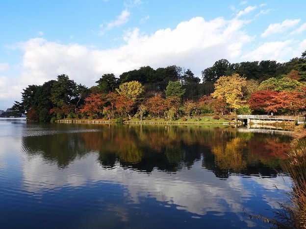 写真: 高松の池 (9)