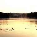 写真: 高松の池 (7)