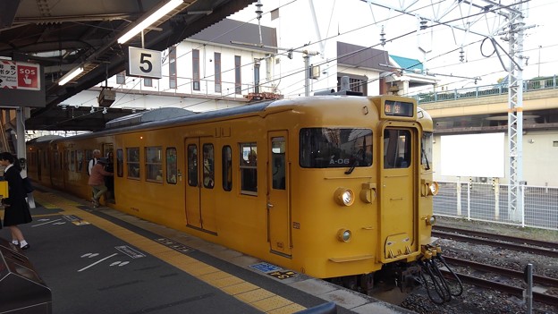 写真: 115 Yellow @ Okayama