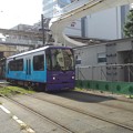 写真: Arakawa Line 8807