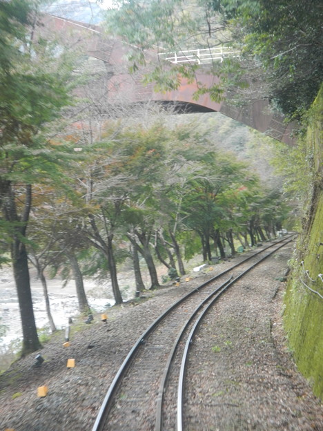 写真: Sagano Romantic (Scenic) Railway