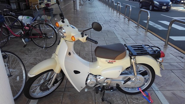 写真: [Motorcycle] Honda Super Cub