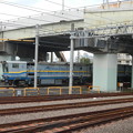 写真: Rail grinder (Nippon Speno) 2
