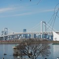 Photos: Rainbow Bridge (Bayside Tokyo)