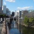 Photos: 目黒川１