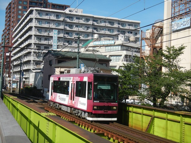 写真: Arakawa Line 8806