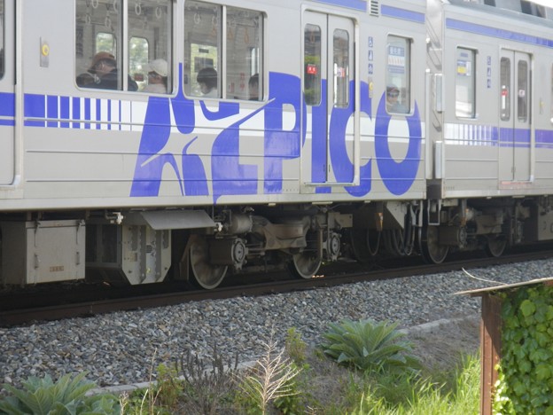 Kamikochi Line 20100 type, Alpico logo