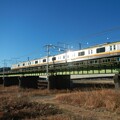 写真: Nambu Line train shining on semi-backlit [LD]