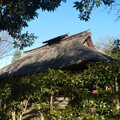 写真: 府中郷土の森 河内家住宅 屋根