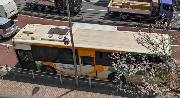 都営バスと桜