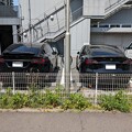 写真: [Charging] 2 Teslas