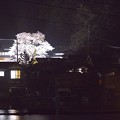 Photos: 平田山・海蔵寺の桜（９）