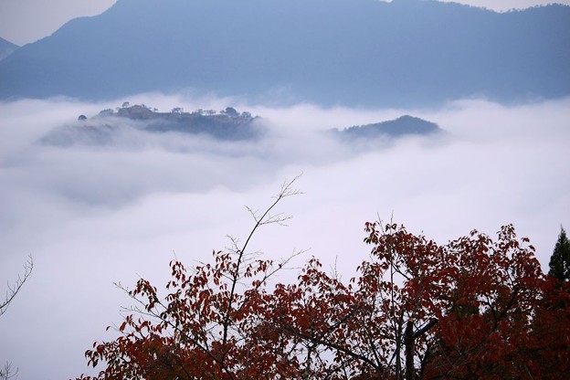 写真: 雲海に浮かぶ竹田城跡（４）