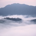 写真: 雲海に浮かぶ竹田城跡（５）