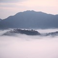 写真: 雲海に浮かぶ竹田城跡（９）