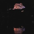 Photos: 夜桜ライトアップ（２）