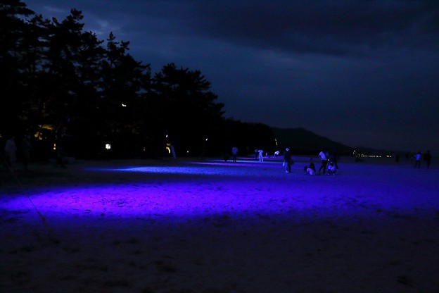 Photos: 天橋立・砂浜ライトアップ（１）