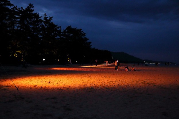 Photos: 天橋立・砂浜ライトアップ（２）