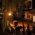写真: 城崎温泉夜景（３）