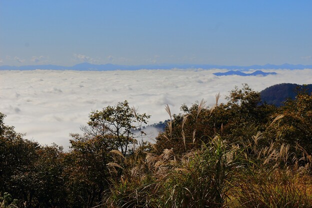 大江山からの雲海（５）