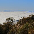大江山からの雲海（５）