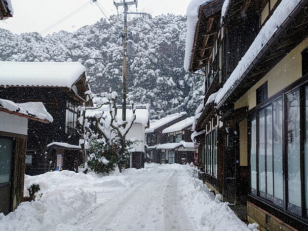 雪降る伊根の町並み