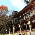 写真: 談山神社 211116 10