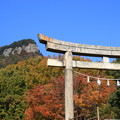 写真: 屋島寺への道にて 211119 01