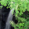 写真: 志駒渓谷、地蔵堂の滝