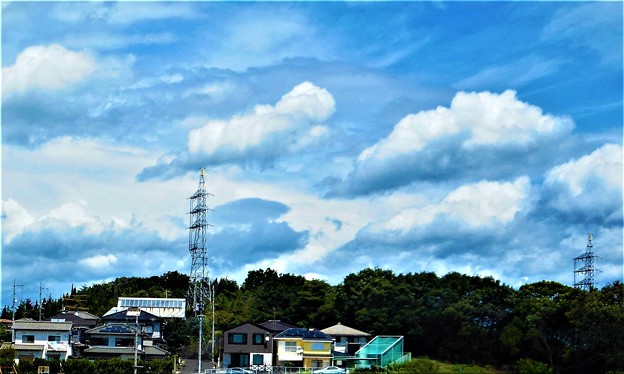 写真: 晩夏の久々の青い空と白い雲＠瑠璃山山頂周辺＠21.8.25