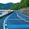 Photos: しまなみ海道ｻｲｸﾘﾝｸﾞﾛｰﾄﾞ周辺の海岸線＠因島大橋21.10.8
