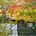 深山幽谷の苔むす永徳院の紅葉＠仏通寺ﾊｲｷﾝｸﾞｺｰｽ