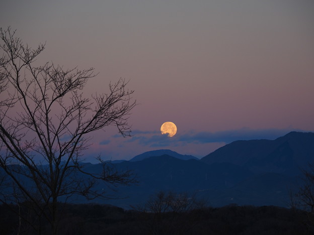 写真: 月が沈む朝