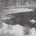 写真: 雪の池べり