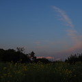 写真: 夕暮れの丘