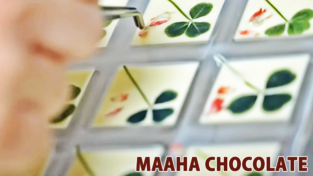 Photos: MAAHA CHOCOLATE