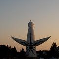 写真: 夕暮れの太陽の塔