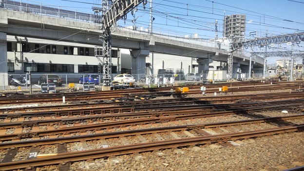 写真: rail (8)
