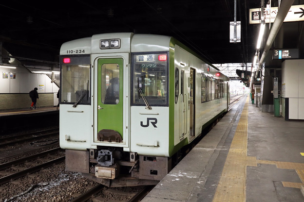 写真: 飯山線キハ１１０＠長岡駅
