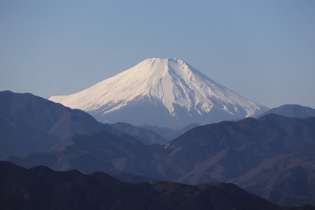 写真: 高尾山からの富士山