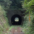 写真: 小さなトンネル