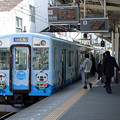 写真: ミジュマルトレイン＠松阪駅